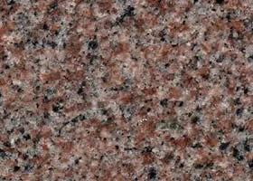 中国マホガニー